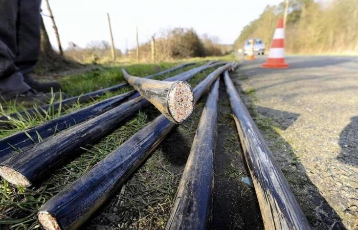 A series of cable thefts solved in Saumur: five men sentenced