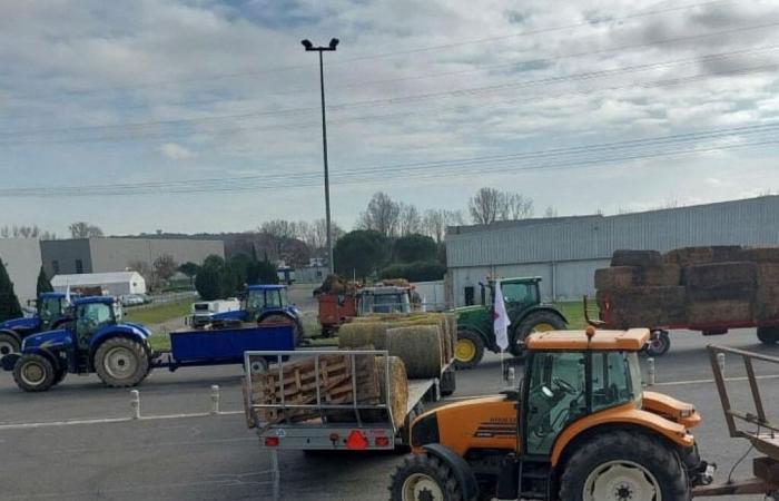 Anger of the farmers. A mobilization is planned for the night of December 22 to 23 near Toulouse