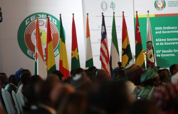 Mali, Niger and Burkina Faso reject the withdrawal period granted by ECOWAS