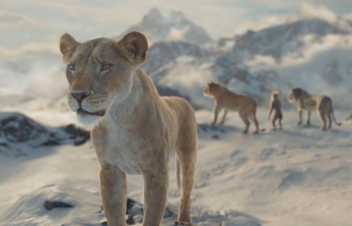 'Mufasa' disappoints at the box office. Disney's Lion King was set to sweep this Christmas but crashes into Sega's Hedgehog