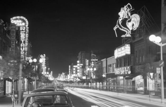 Life, the city | The Aquarium du Nord leaves the Plaza