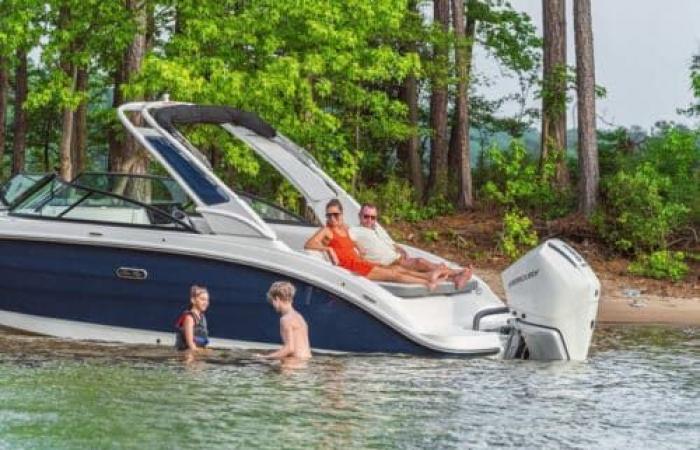 Sea Ray, three new SDX outboards