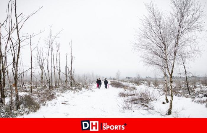 Will we have a white Christmas this year? Here is the weather forecast for the winter holidays