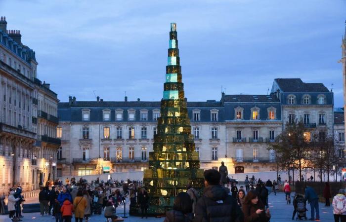 Town halls no longer know which tree to turn to