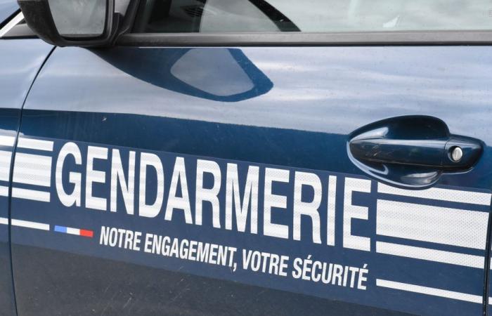 At least two dead in a road accident, two gendarmes heard by the courts