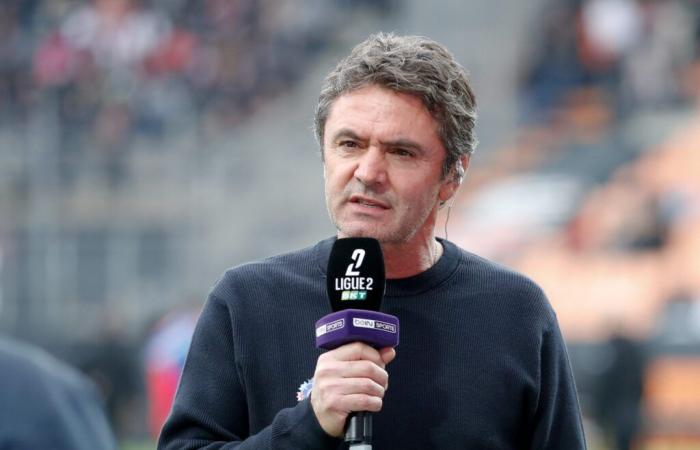 SM Caen – “They will inevitably move up the rankings”: the view of Sylvain Ripoll (Guingamp) on the Stade Malherbe before the Coupe de France match