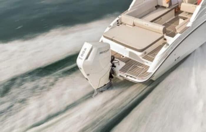 Sea Ray, three new SDX outboards