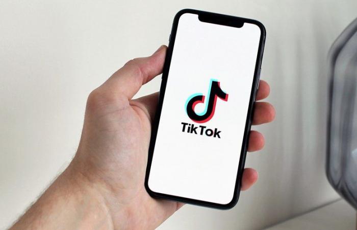 “TikTok is a thug who spreads filth and mud”… The Chinese app banned one year in Albania after the death of a 14-year-old teenager