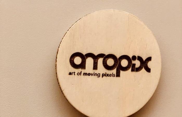 meeting with Amopix, the animation studio to follow