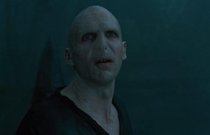 This is what Ralph Fiennes, the actor who played Lord Voldemort in 'Harry Potter', looks like today