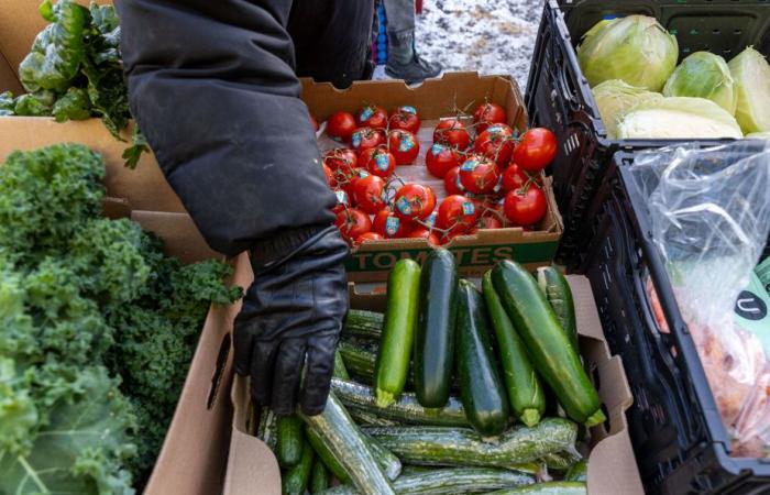 Demand explodes at food banks