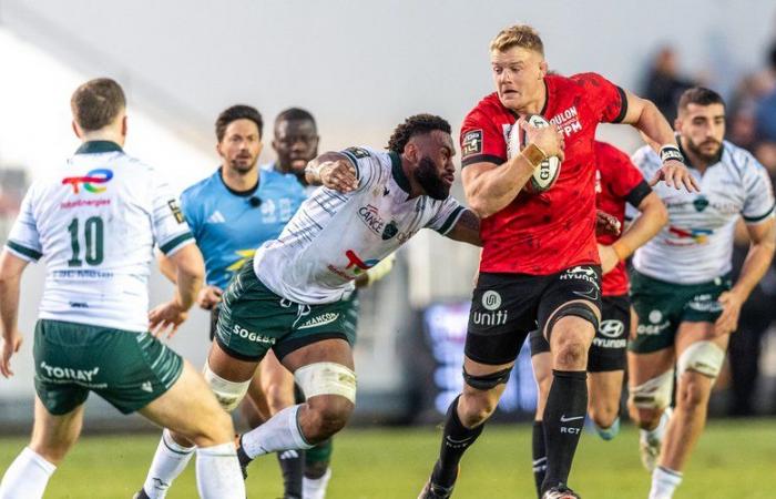 Top 14 – In Toulon, everyone is crazy about David Ribbans