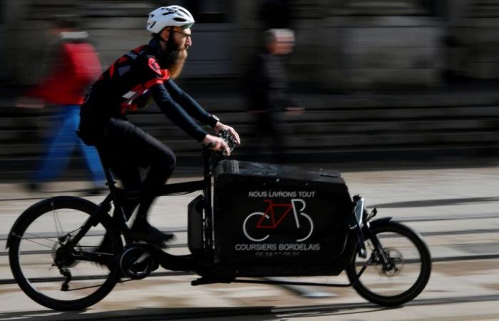 Dual-body or “longtail”? How to choose the right cargo bike