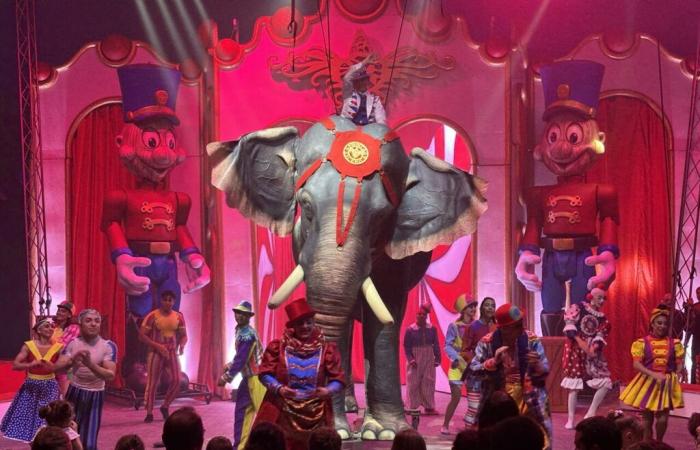 Nice. This circus with fake animals is happening, a “global innovation” to discover