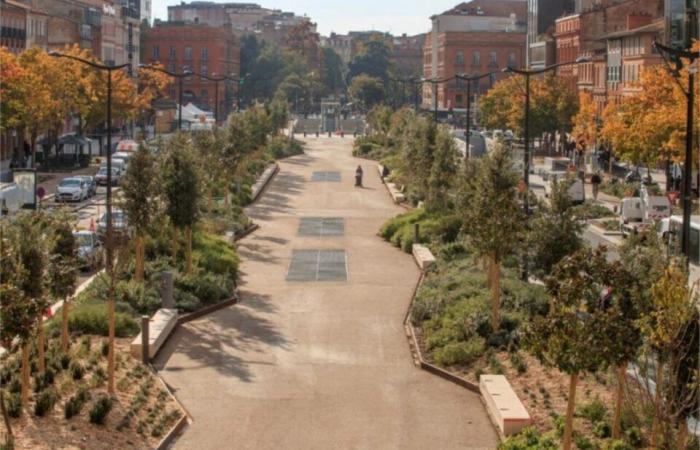 how the Jean-Jaurès avenues of Toulouse have changed in 200 years