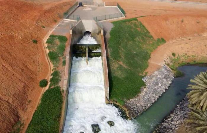 Exclusive. Seen from the sky, how the Oued Sebou water highway transforms the entire landscape in its path