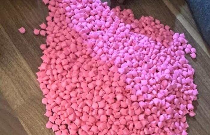 Gambia: 40,000 ecstasy pills seized, three arrests | APAnews