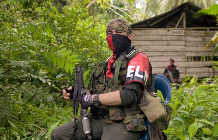 In Colombia, the ELN announces a holiday truce