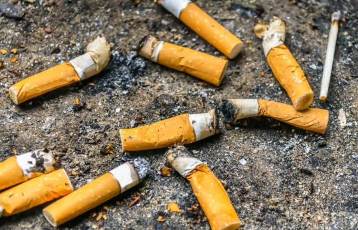 The Council of State validates the missions imposed on the eco-organization Alcome concerning cigarette butts