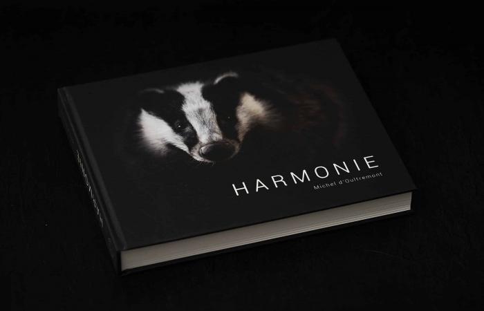 6 beautiful photo books to offer for Christmas 2024 – Masculin.com