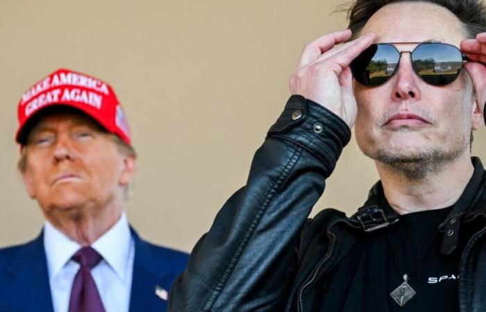 Elon Musk, future president of the United States? “He can’t,” says Trump, invoking the Constitution