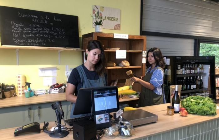 Tour Info | Beers, fruits and vegetables… A new way to consume local in Saint-Avertin