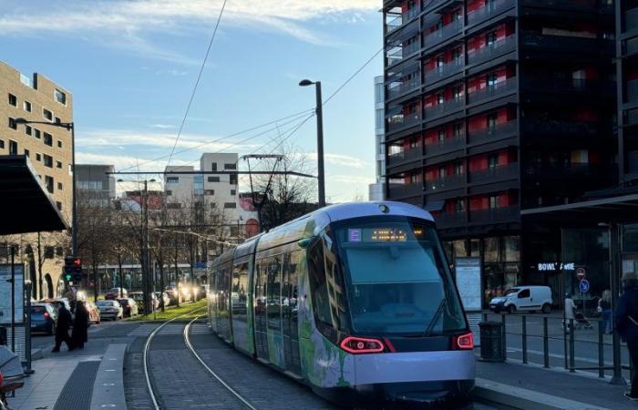 bus and tram traffic will be disrupted for Christmas and New Year