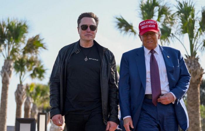 United States: Elon Musk “cannot be” president, brushes off Trump in response to criticism from the Democratic camp