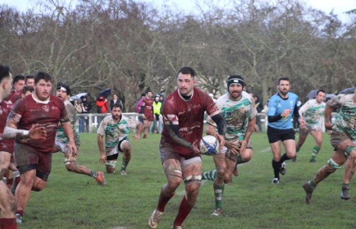 Amateur rugby – Federal 1: the 4 Cantons-BHAP, from start to finish, win at home in front of Peyrehorade and get back on track