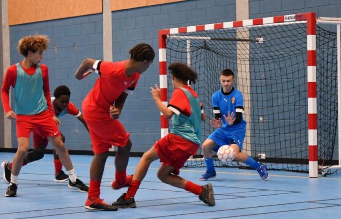 Blois Pro Futsal between conviviality and competition