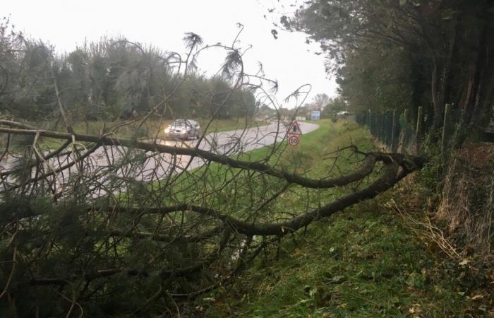 thunderstorms and gusts at 120 km/h this Sunday, yellow vigilance activated