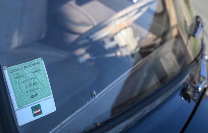 “Green butterfly” on the windshield, insurance certificate: will these documents be mandatory in January 2025?