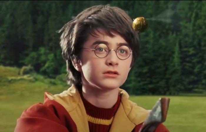 Harry Potter, the mistakes of the films that the TV series absolutely must remedy