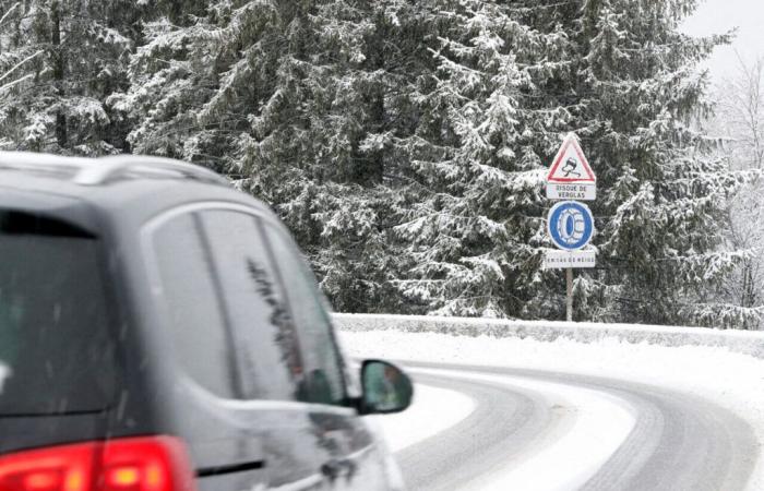 Grenoble. Heavy snow falls in Isère: here are the sectors affected