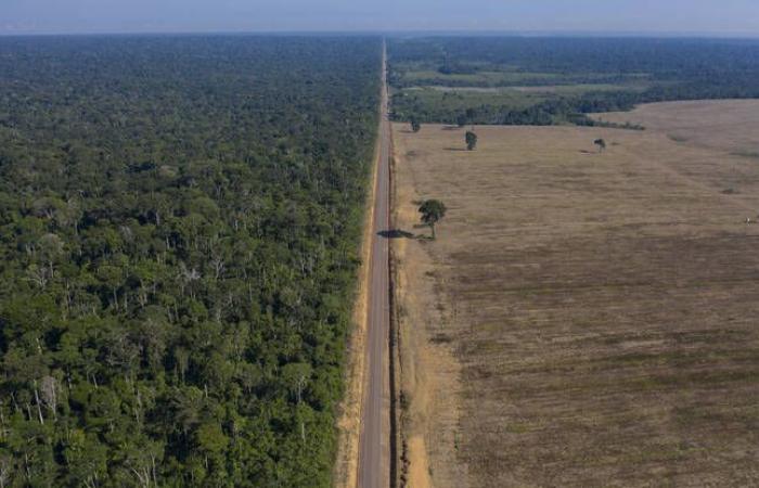 Images of an isolated people in the Amazon rainforest revealed for the first time