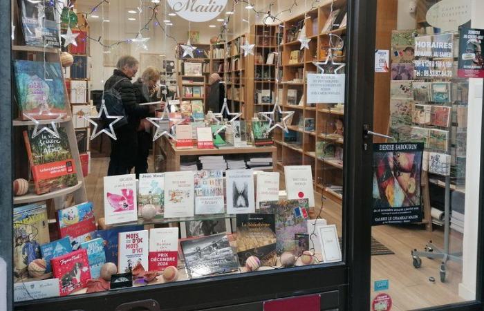 Want to give a book for Christmas? Béziers booksellers open their world to you