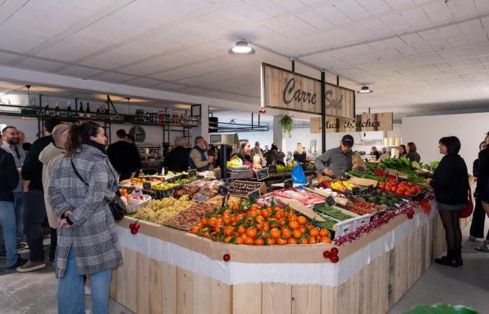 The Halles des Plaines are open! – La Seyne-sur-Mer