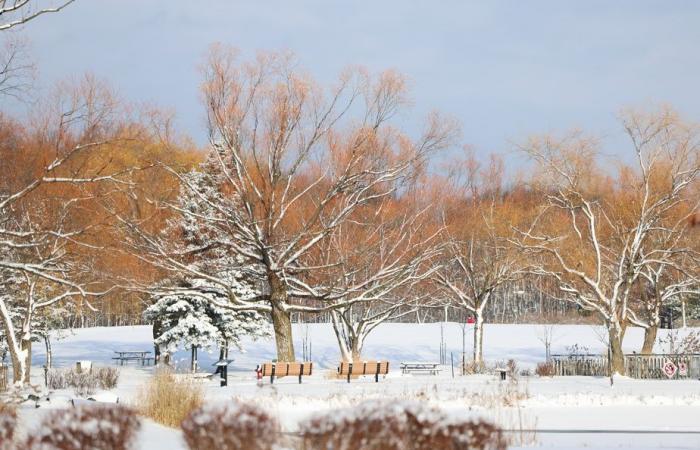 By Tuesday morning | 10 to 15 cm of snow expected in Quebec