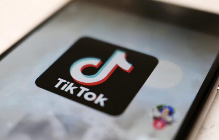 Albania blocks access to TikTok for a year across the country: here's why