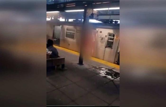 Woman burned alive in New York subway: man arrested