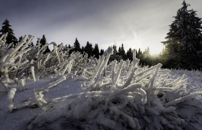 12:30 p.m. news – Weather in France: heavy snowfall expected, stations are stocking up