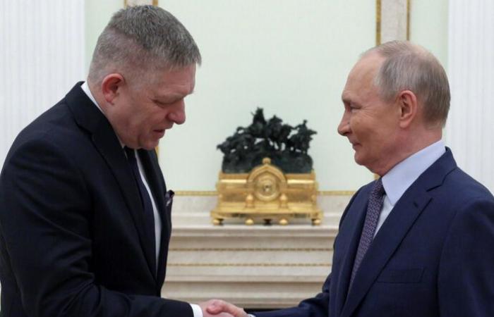 Slovak PM meets Putin to discuss Russian gas transit