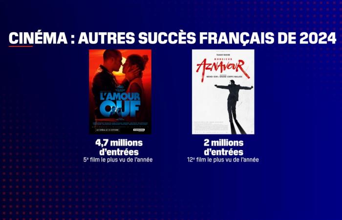 For the first time since 2014, the biggest cinematic success of the year is French