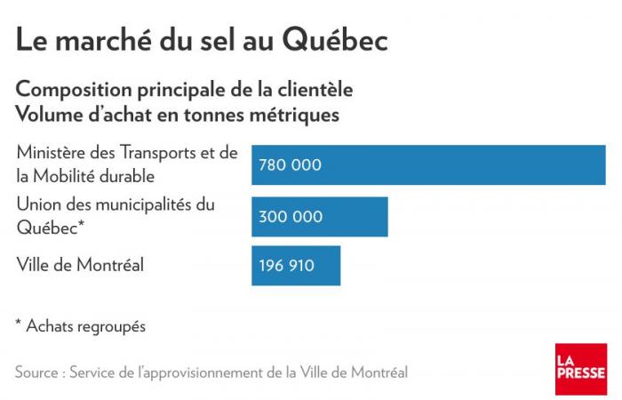 Blue planet, green ideas | De-icing salt, enemy in Saint-Hyacinthe