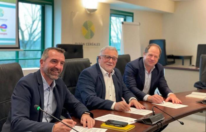 BURGUNDY-FRANCHE-COMTÉ: Dijon Céréales and Total Energies commit to developing agrivoltaism