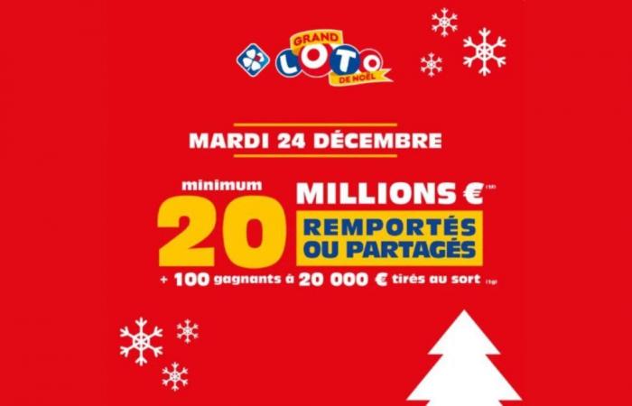 Try to win 20 million euros for the FDJ Christmas LOTO® Grand!