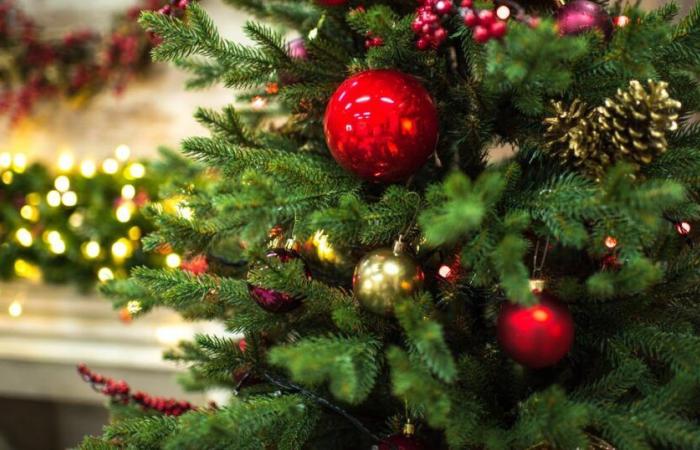 Knowledgeable about Christmas and its traditions? Test your knowledge with our quiz – rts.ch