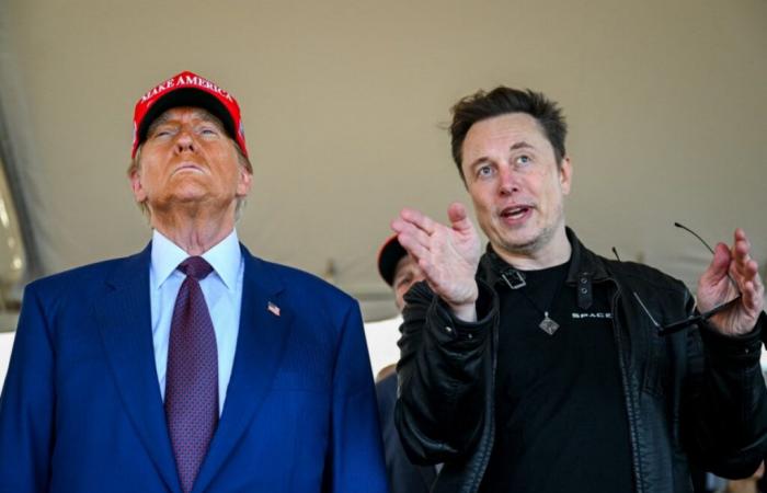 United States: Elon Musk too influential? “I am calm, he cannot be” president, sweeps away Donald Trump – 12/23/2024 at 1:19 p.m.