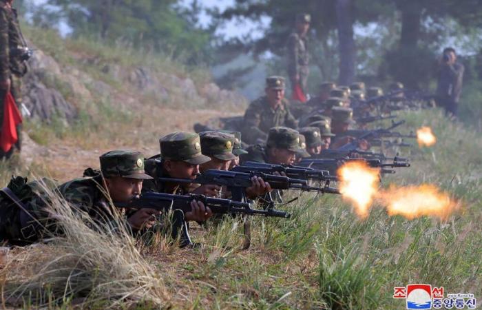 Ukraine: more than a thousand North Korean soldiers killed or injured