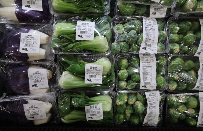 Plastic pollution | Fruit and vegetable packaging called into question